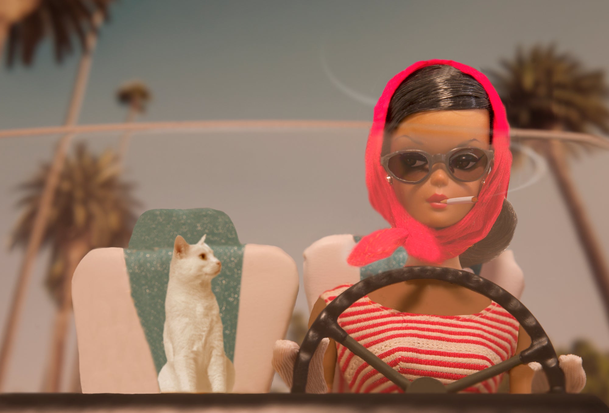 Cruising Beverly Hills Cat-Woman (Black) – Barbie and Ken Photos