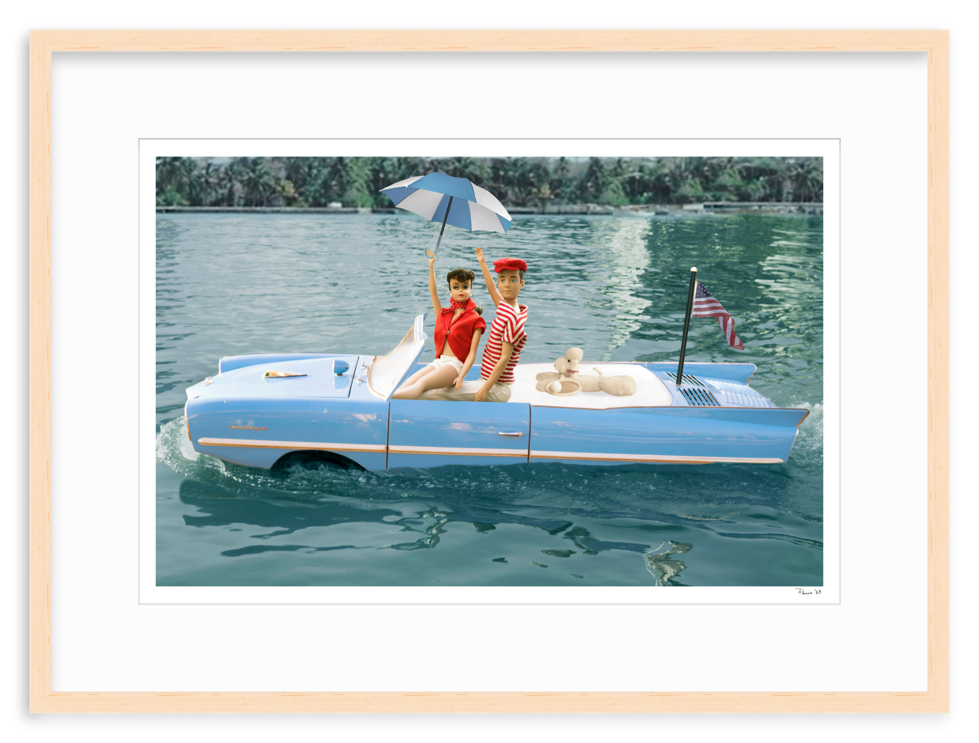 Amphib Car