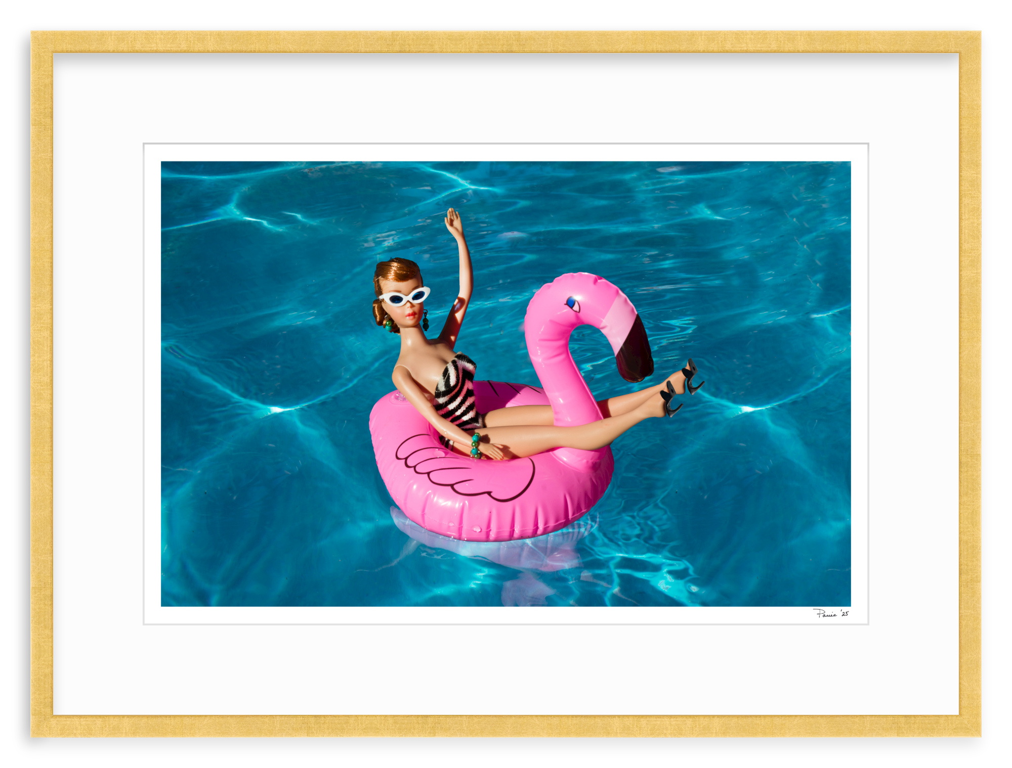 Flamingo Redhead