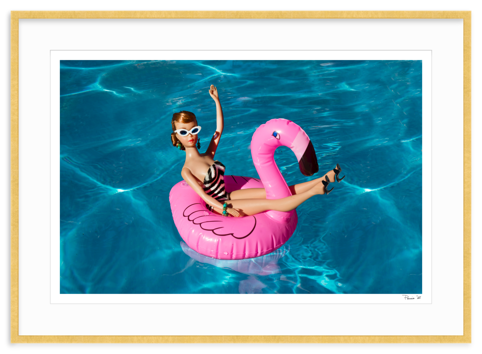 Flamingo Redhead