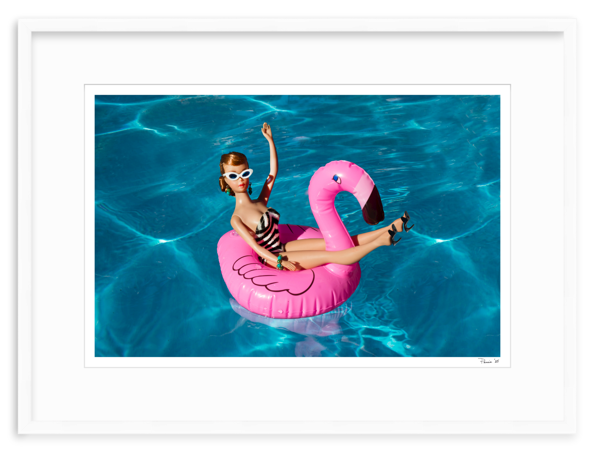 Flamingo Redhead