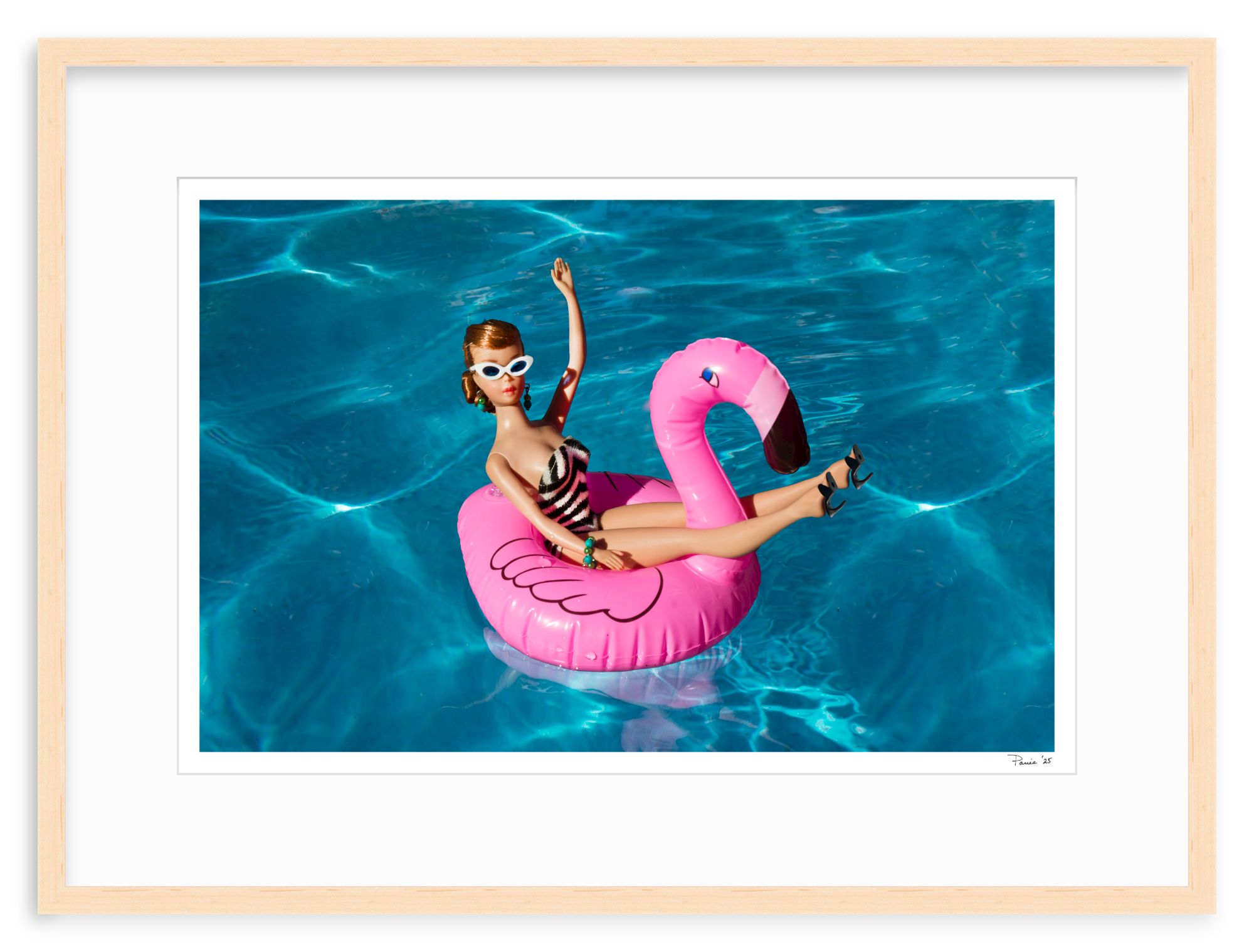 Flamingo Redhead