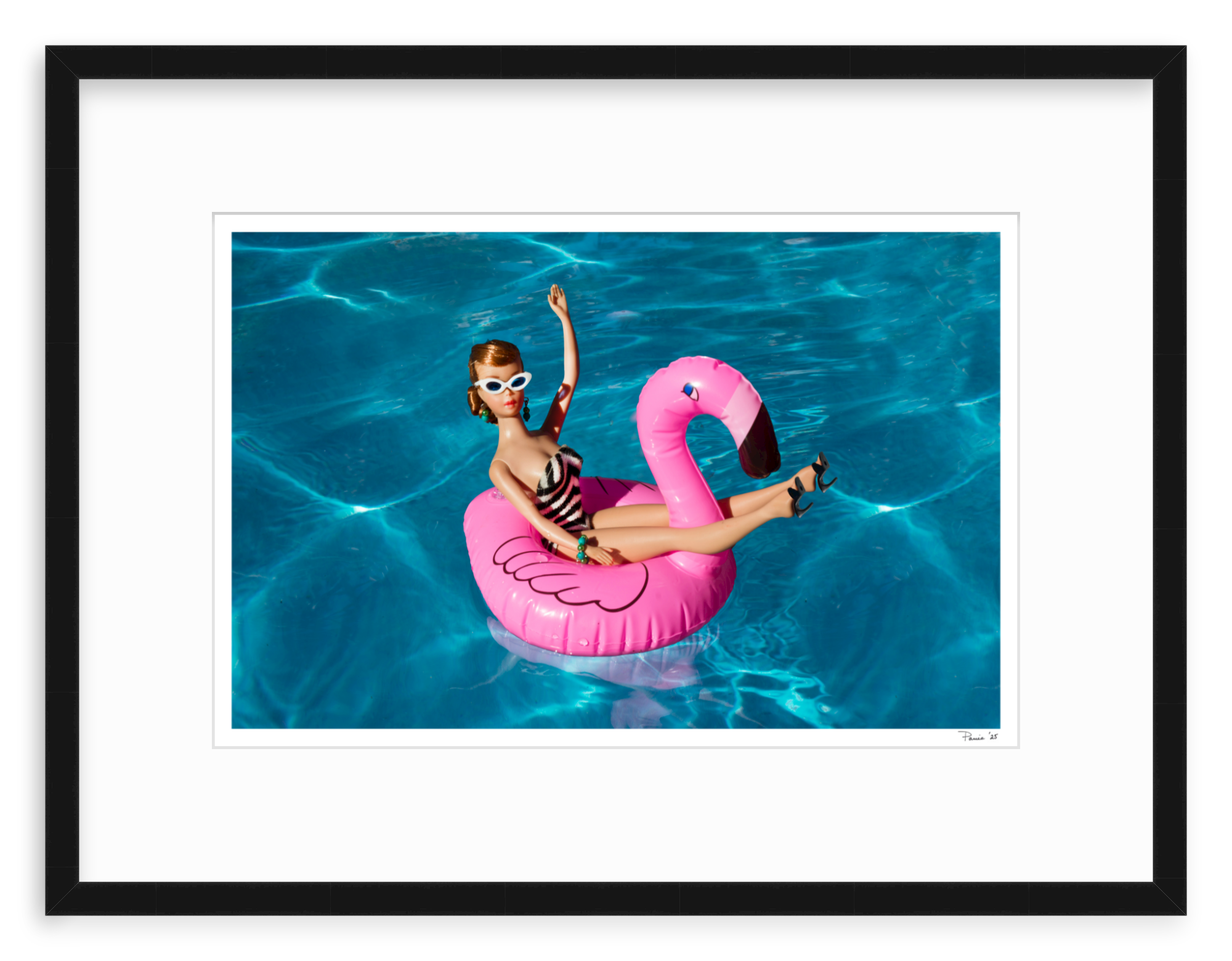 Flamingo Redhead