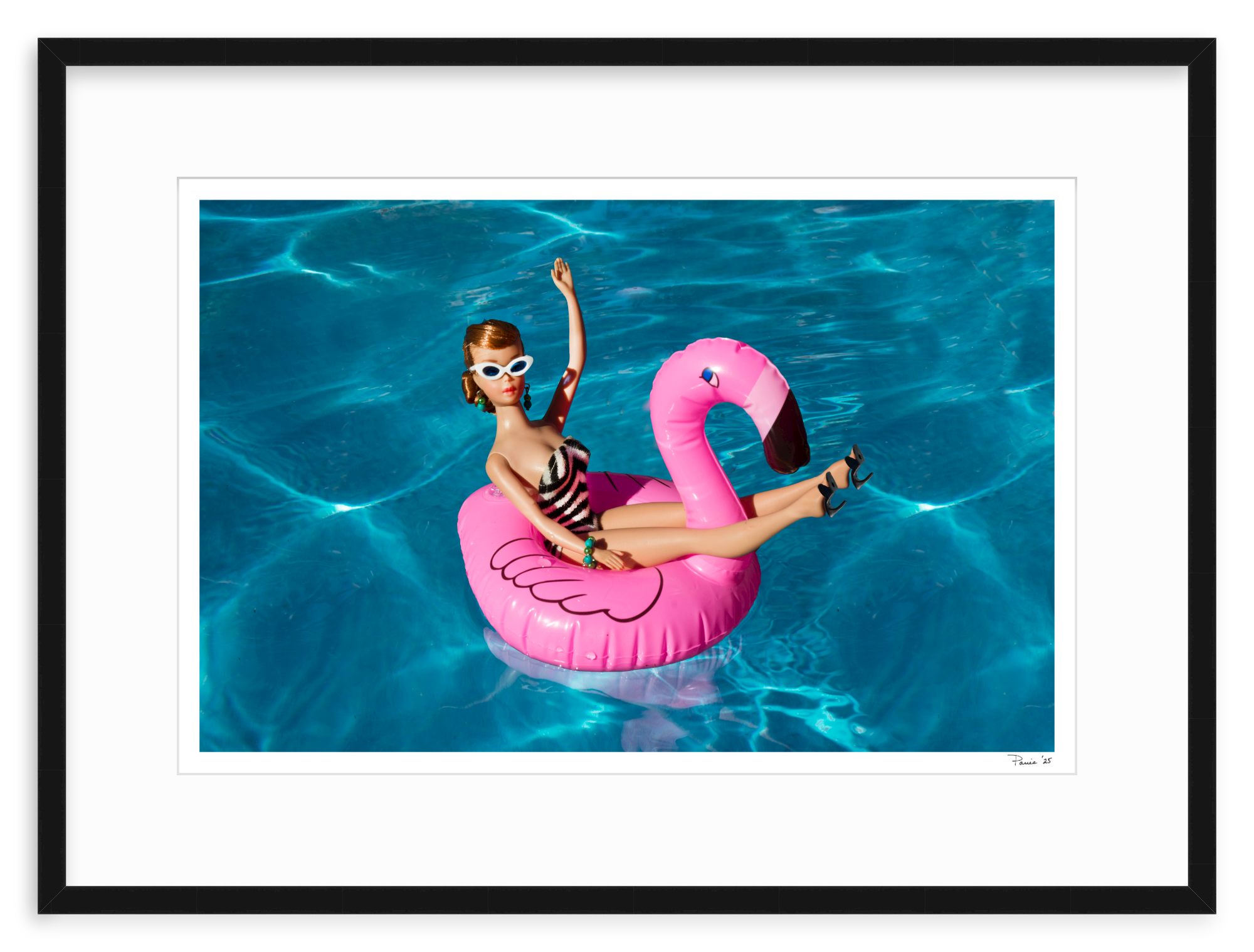 Flamingo Redhead