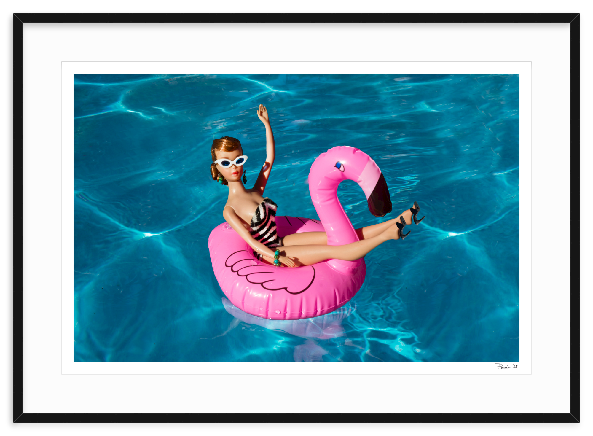 Flamingo Redhead