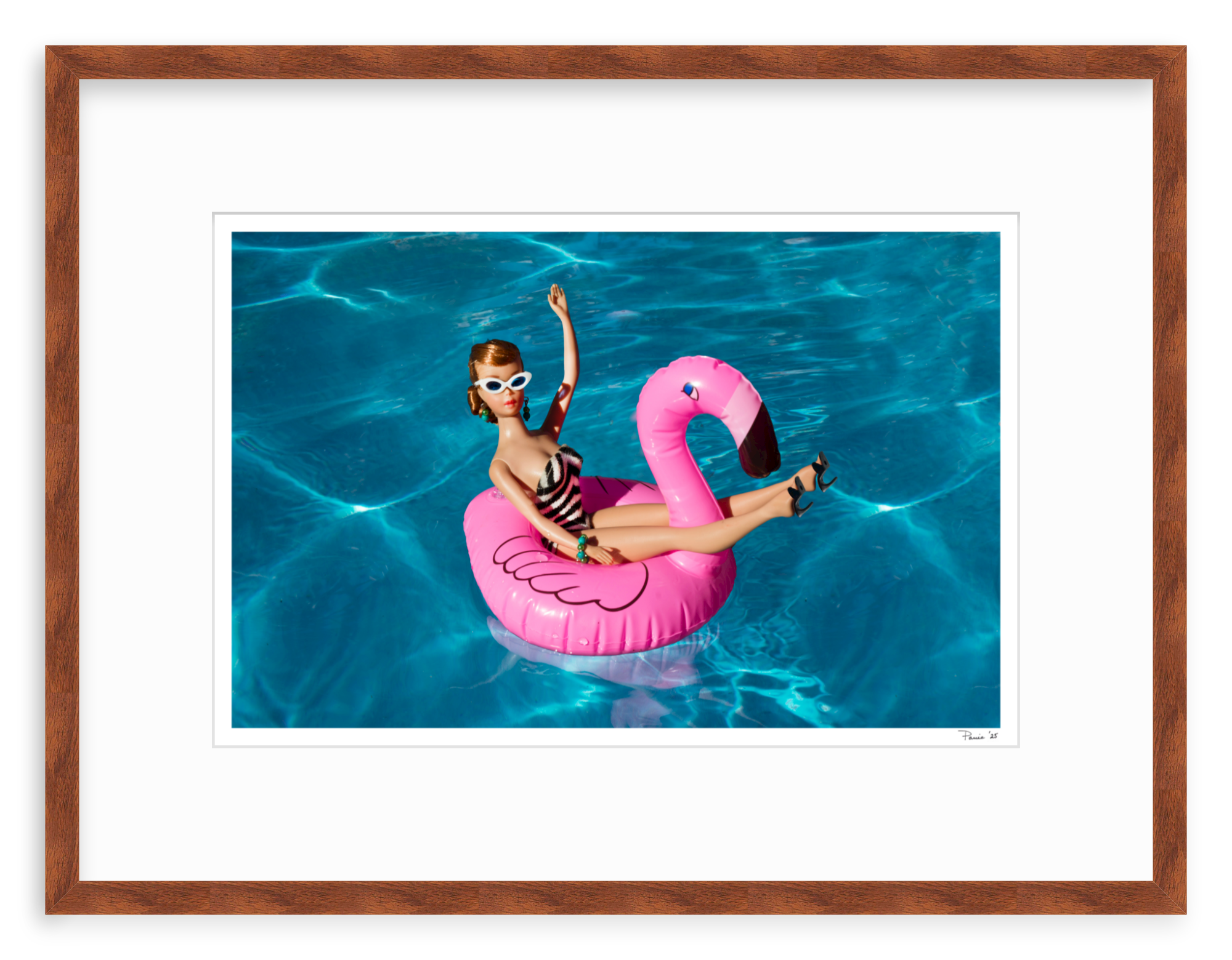 Flamingo Redhead