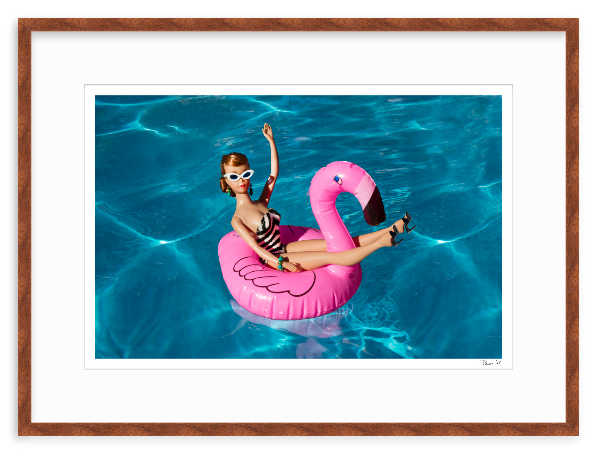 Flamingo Redhead